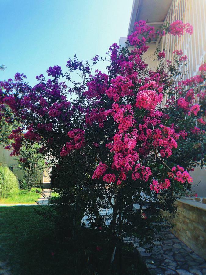 Vila Jovana Sutomore Dış mekan fotoğraf